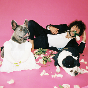 国产成人av大片
