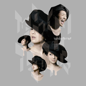 国产成人av大片
